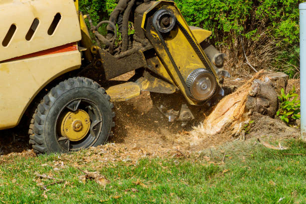 Best Grass Overseeding  in Avenel, NJ