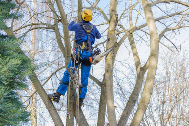 Soil Testing and Treatment in Avenel, NJ